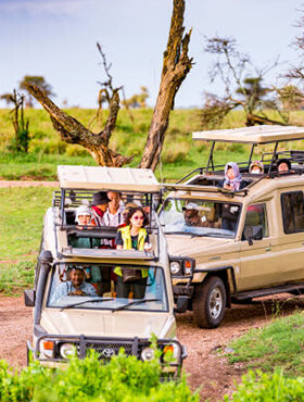 Group Safari <span>$ 200 Deposit</span>